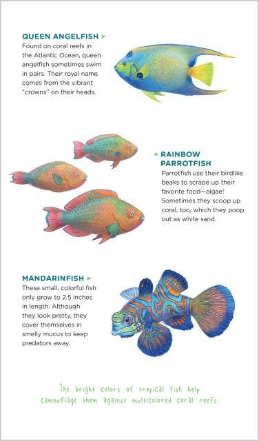 Temporary Tattoos That Teach: Ocean Animals