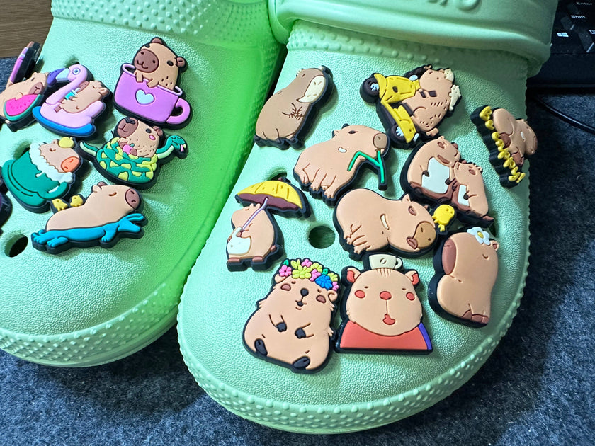 Capybara Shoe Charms
