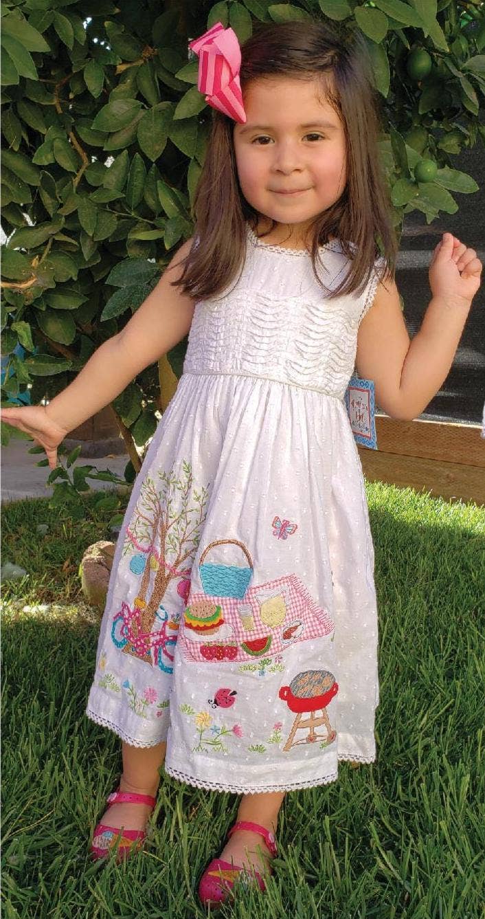 Picnic Embroidered Appliqué Fancy Dress