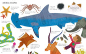 Big Book of Animals (Little Explorers Big Facts Books)
