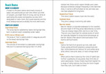 Seashells and Beachcombing for Kids