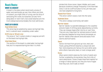 Seashells and Beachcombing for Kids
