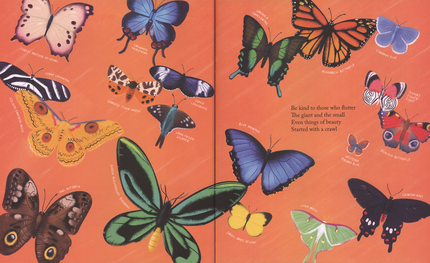 Kind Hardcover Book