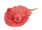 Horseshoe Crab Howie Plush Stuffy Stuffed Animal