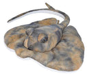 Southern Ray Stuffed Animal - 15