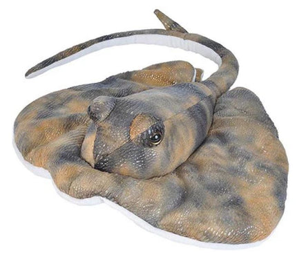 Southern Ray Stuffed Animal - 15