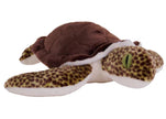 Cuddlekins Eco Green Sea Turtle - 12