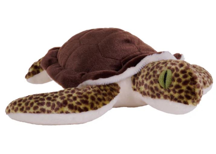 Cuddlekins Eco Green Sea Turtle - 12