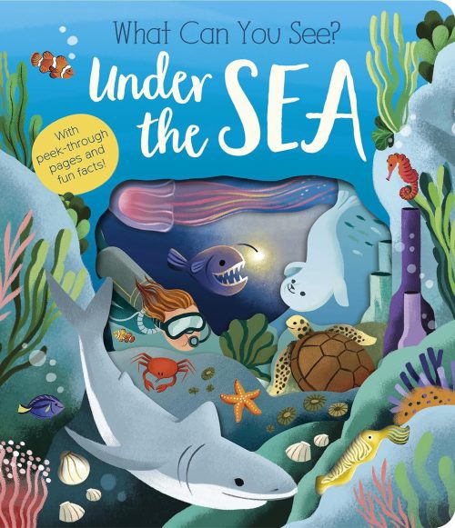 What Can You See? Under the Sea Board Book