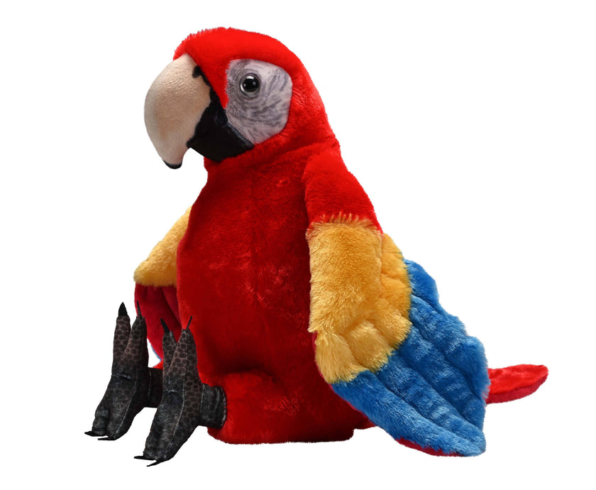 Artist Scarlet Macaw 15
