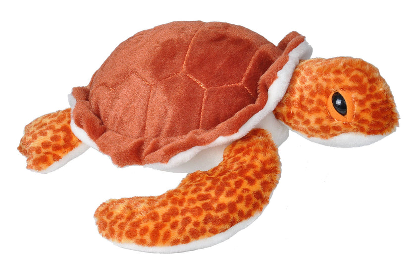 CK Loggerhead Sea Turtle Stuffed Animal 12