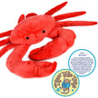 Cora The Crab | 18 Inch Stuffed Animal Plush