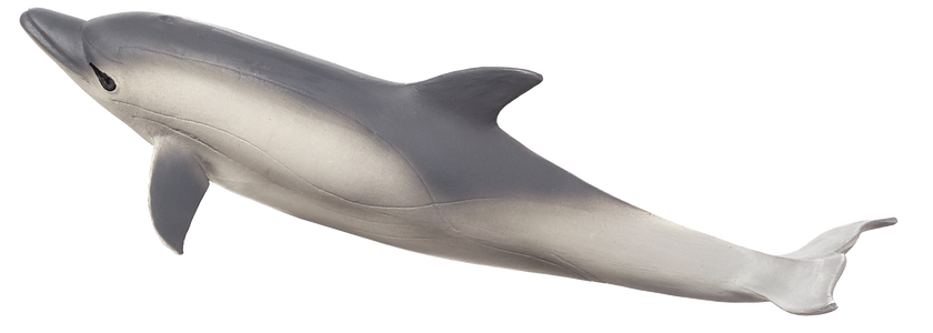 MOJO Common Dolphin