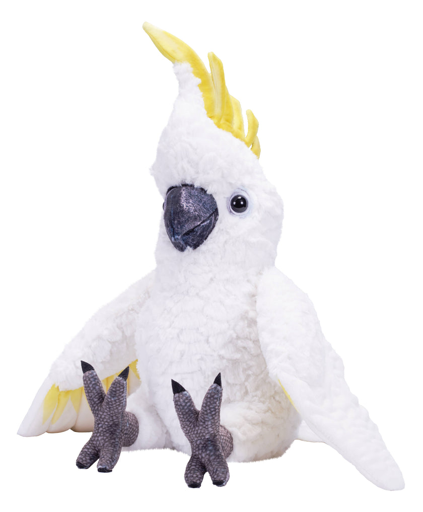 Artist Sulfur Crested Cockatoo 15