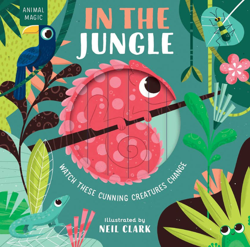In the Jungle Board Book