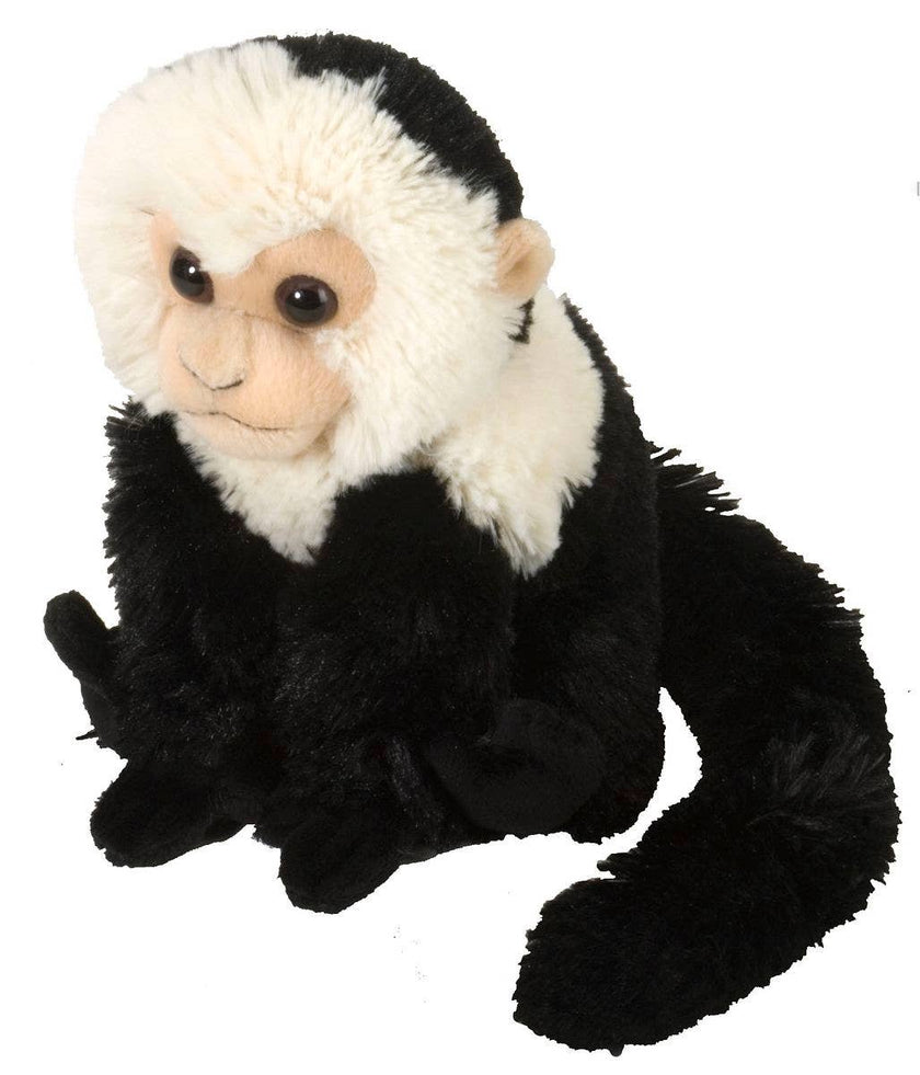 CK-Mini Capuchin Stuffed Animal 8