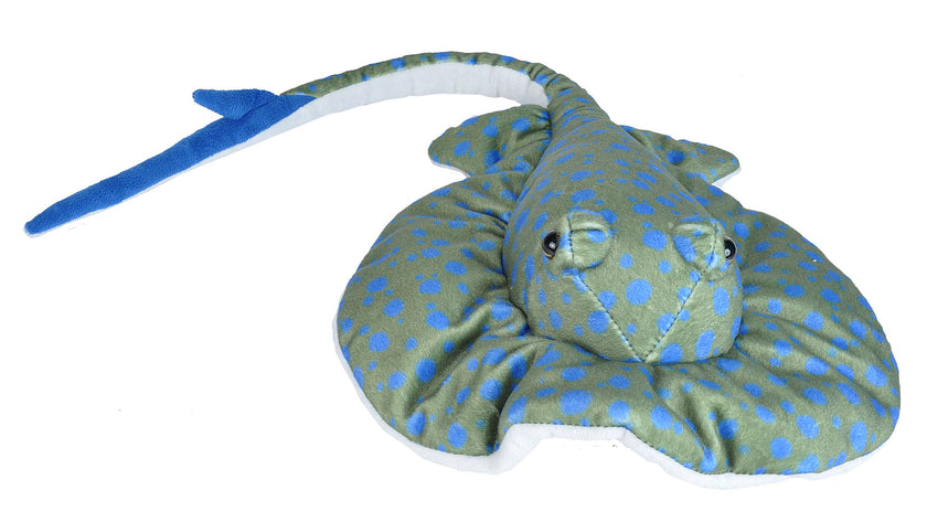 CK Blue Spotted Ray Stuffed Animal 12
