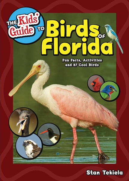 Kids Guide to Birds of Florida