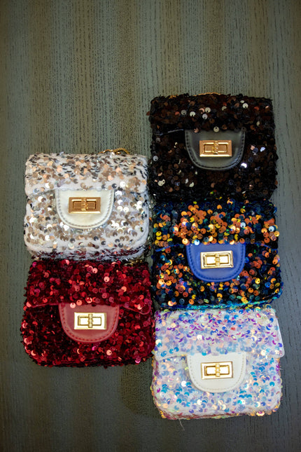 Sequin Purse