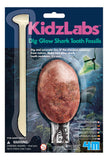 Dig and Excavate Glow Shark Tooth Fossils Toy