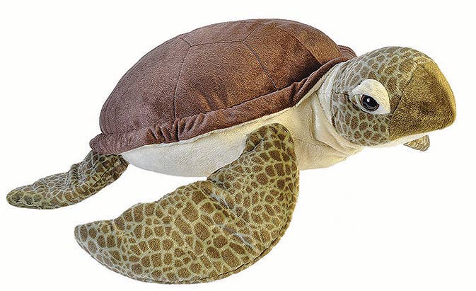 CK-Jumbo Green Sea Turtle Stuffed Animal 30